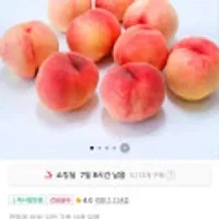 아삭 딱딱이 복숭아 4kg