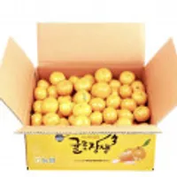 귤로장생 햇 노지감귤 4.5kg
