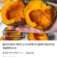 돌쇠네 100% 제주산 노지 보우짱 미니밤호박 1.5kg