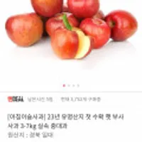 아침이슬사과 23년 유명산지 첫수확 부사 사과 2kg 실속 중대과 4-10과