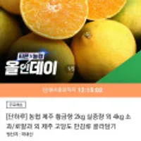 농협 제주 황금향 4kg 소과/로얄과 외 제주 고당도 만감류 골라담기
