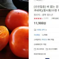 씨없는 감 청도반시 5kg