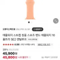 애플워치 스트랩 정품