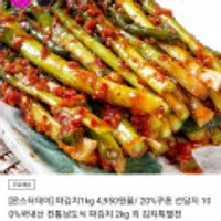 선담지 100%국내산 전통남도식 파김치 2kg 외