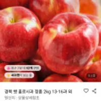경북 햇 홍로사과 정품 2kg 13-16과