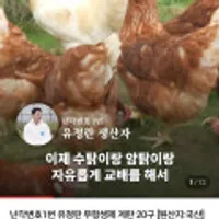 유정란 무항생제 계란 20구 난각번호1번