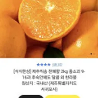 제주직송 천혜향 중소과 2kg 9-16과