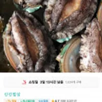 완도 참 전복 왕특대활전복 8~9미 1kg