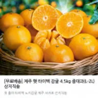 제주 햇 타이벡 노지감귤 4.5kg 중대과 L-2L