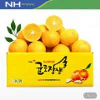 귤로장생 햇 황금향 4kg