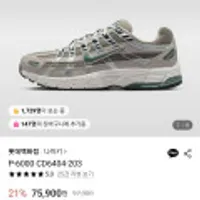 나이키 P-6000 CD6404-203