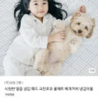 크린포유 쿨매트 냉감패드 SS + 쿨링티 외 다양