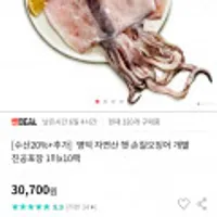영덕 자연산 햇 손질오징어 개별진공포장 대사이즈 1미x10팩