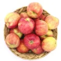 홍로 사과 가정용 3kg(16-20과내외)