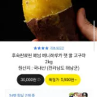 해남 베니하루카 햇 꿀 고구마 한입 2kg