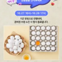 무항생제 백색란 대 30구 특가