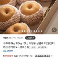 24년 햇배 가정용 나주배 5kg 10-12과