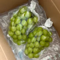 [단하루] 특품 초고당도 샤인머스켓 1.5kg 2수 국내산 18브릭스이상 당도보장