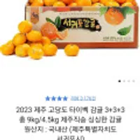 제주 고당도 타이벡 감귤 9kg