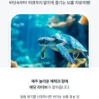 보홀 에어텔 자유여행 3박5일