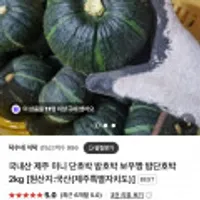 국내산 제주 미니 단호박 밤단호박 2kg