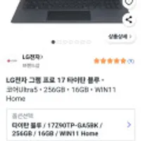 LG전자 2025 그램 Pro AI 17 WQXGA WQXGA 코어Ultra5 애로우레이크 윈도우11