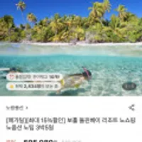 보홀 돌핀베이 3박5일 패키지