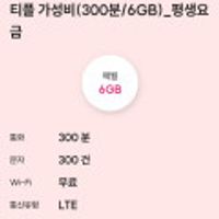 가성비 300분 6gb평생요금제 skt망 엘티이