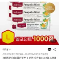 레드씰 프로폴리스 민트 치약 100g 6개