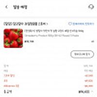 딸기 500g