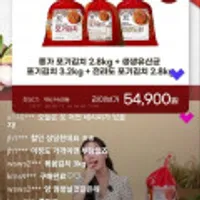 종가포기김치 2.8kg+생생유산균 포기김치 3.2kg+전라도포기김치 2.8kg 총 8.8kg