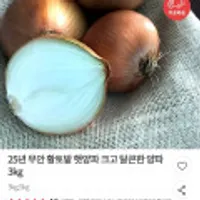 25년 무안 황토밭 햇양파 크고 달큰한 양파 3kg