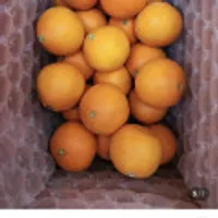 제주 황금향 고당도 산지직송 3KG