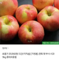 (가정용) 경북 햇 부사 사과 9kg 중대과혼합