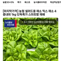 농협 샐러드용 믹스 채소 1kg (4종내외)