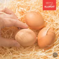 난각번호1번 계란 동물복지 자연방사 무항생제 유정란 20구