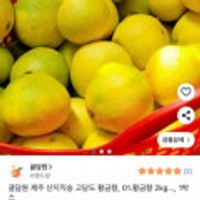 제주 산지직송 고당도 황금향, 2kg 중소과(11-15과)