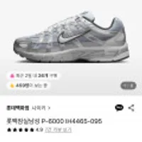 나이키 P-6000 IH4465-095