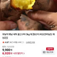 해남 무농약 꿀고구마 3KG 대/특상