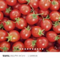 대추 방울토마토 1~3번과 1kg