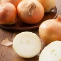 25년 무안 청정지역 게르마늄 햇 양파 3kg  무료배송