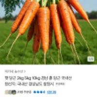 경남 흙당근 햇당근 중 2kg