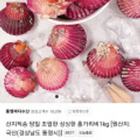 산지직송 당일조업 홍가리비 1kg