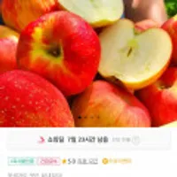 2025년 햇 홍로 사과 3kg 가정용 소과 21-23과 내외