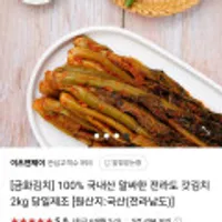 국내산 알싸한 전라도 갓김치 2kg 당일제조