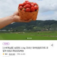 신세계납품 국내산 대추방울토마토 로얄과 2.1kg