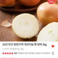 25년무안청정지역게르마늄 햇양파 3kg 소