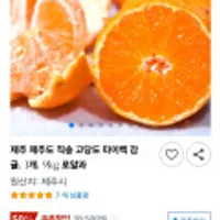 제주도 직송 고당도 타이벡 감귤 9kg 로얄과