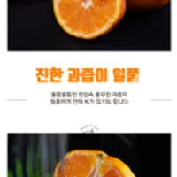 13brix 제주 당도선별 귤로향 1kg