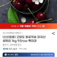 항공직송 고당도 미국산 생체리 1kg 9.5row 특대과
